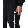 Champion Rib Cuff Pants M 220732 KK001