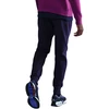 Kelnės vyrams Nike FC Barcelona Club violetinė HM2912 594 (M)