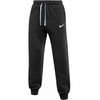 Nike Park 26 Fleece Kelnės IB1248-010