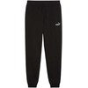 Puma Ess 2 Color No. 1 Logo Kelnės M 684714 01