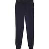 Kelnės vyrams Puma Team Goal Casuals tamsiai mėlyna 658598 06 (L)
