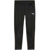 Kelnės vyrams Puma Team Goal Training juoda 658639 03 (L)