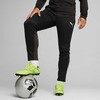 Kelnės vyrams Puma Team Goal Training juoda 658639 03 (L)