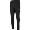 Kelnės vyrams Puma teamLIGA Training Pants juoda 657242 03 (2XL)
