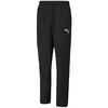 Puma teamRise Sideline kelnės M 657327 03