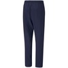 Puma teamRise Sideline Kelnės M 657327 06