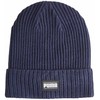 Puma kepurė Ribbed Classic Beanie 024038 10