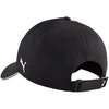 Kepurė su snapeliu Puma Team Additions juoda 27238 02
