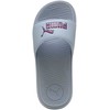 Moteriškos šlepetės Puma Cool Cat 2.0 389108 44