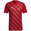 Adidas Entrada 22 grafiniai marškinėliai M HB0572