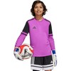 Marškinėliai bramkarska vaikams adidas Squadra 25 Long Sleeve violetinė JJ1939 (128cm)