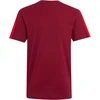 Marškinėliai vaikams adidas Arsenal FC bordinė KG5137 (164cm)