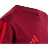 Marškinėliai vaikams adidas Arsenal FC bordinė KG5137 (164cm)