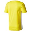 Adidas Entrada 18 Jsyy Jr CF1039 marškinėliai