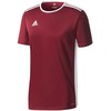 adidas Entrada 18 Jr Marškinėliai CE9564