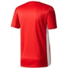 adidas Entrada 18 Jr CF1050 marškinėliai