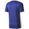 ADIDAS ENTRADA 18 JUNIOR MARŠKINĖLIŲ NAVY Mėlynas CF1036