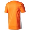 Adidas Entrada 18 JSY Y Jr CF1043 Marškinėliai