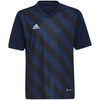 adidas Entrada 22 Grafinis Džersis Jr HF0122