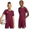 Marškinėliai vaikams adidas Entrada 26 Jersey bordinė JZ2530 (128cm)