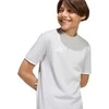 Marškinėliai vaikams adidas Entrada 26 Tee pilka JZ6672 (152cm)