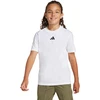 Marškinėliai vaikams adidas Essentials balta JC9774 (164cm)