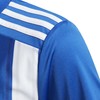 Marškinėliai adidas Striped 21 Jr GH7323 (Rozmiar-164)
