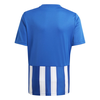 Marškinėliai adidas Striped 21 Jr GH7323 (Rozmiar-164)