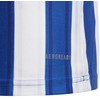 Marškinėliai adidas Striped 21 Jr GH7323 (Rozmiar-164)