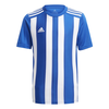 Marškinėliai adidas Striped 21 Jr GH7323 (Rozmiar-164)