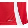 adidas Tiro 24 Jr marškinėliai IS1030