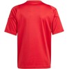 adidas Tiro 24 Jr marškinėliai IS1030