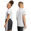 Marškinėliai vaikams adidas Tiro 26 League Polo pilka KF3405 164cm