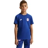 Marškinėliai vaikams Nike Chelsea FC Premier mėlyna IQ5003 495 (L)