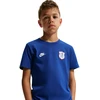 Marškinėliai vaikams Nike Chelsea FC Premier mėlyna IQ5003 495 (L)