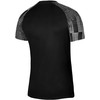 Nike Academy Jaunių Marškinėliai DH8369-010
