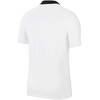 Nike DF Park 20 Polo SS Jr CW6935 100