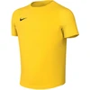 Marškinėliai vaikams Nike Dri-Fit Academy II geltona HV8168 719 (M)