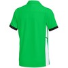 Marškinėliai vaikams Nike Dri-Fit Academy Polo žalia FZ9763 329 S