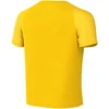 Marškinėliai vaikams Nike Dri-Fit Academy II geltona HV8168 719 (M)