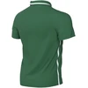 Marškinėliai vaikams Nike Dri Fit Park 26 Polo žalia HM7145 302 (XS)