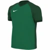 Marškinėliai vaikams Nike Dri-FIT Trophy VI žalia HV8158 302 (XL)