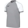 Marškinėliai vaikams Nike Dri-FIT Trophy VI pilka HV8158 012 (L)