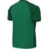 Marškinėliai vaikams Nike Dri-FIT Trophy VI žalia HV8158 302 (XL)