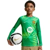 Marškinėliai vaikams Nike FC Barcelona Stadium Goalkeeper 2026/27 žalia II3610 324 (XS)