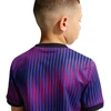Marškinėliai vaikams Nike Paris Saint-Germain violetinė IQ6946 420 (XL)