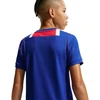 Marškinėliai vaikams Nike Paris Saint-Germain 2026/27 Stadium Home mėlyna-raudona II1644 417 (XL)