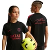 Marškinėliai vaikams Nike Paris Saint-Germain Strike juoda II2659 010 (S)