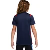 Marškinėliai vaikams Nike Paris Saint-Germain Academy Pro tamsiai mėlyna II1664 410 (L)