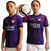 Marškinėliai vaikams Nike Paris Saint-Germain violetinė IQ6946 420 (XL)